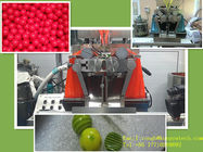 10» μηχανή ενθυλάκωσης Paintball μεγάλων κλιμάκων, 0,68» αυτόματη μηχανή ενθυλάκωσης