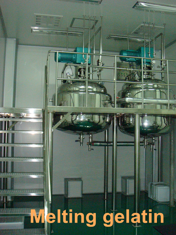 Μηχανή ενθυλάκωσης Softgel πηκτωμάτων Vegan στη Hydroxypropyl πλήρωση κολλών πετρελαίου αμύλου υλική