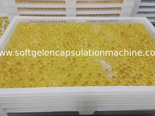 δίσκος PPE 75 * 55 * 5cm πλαστικός για περιβαλλοντικό μη τοξικό ξήρανσης