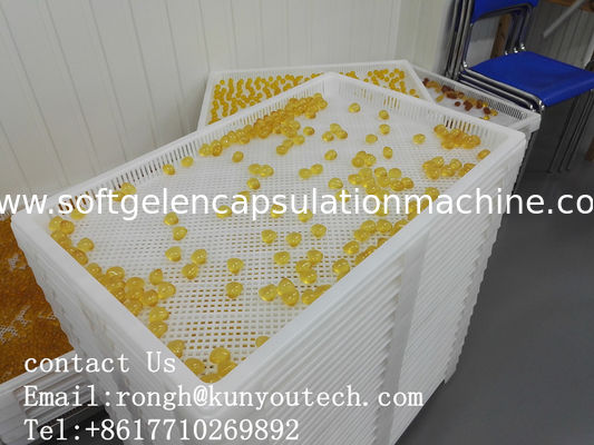 ISO9001 PPE 75 * 55 * πλαστικοί ξεραίνοντας δίσκοι 5cm
