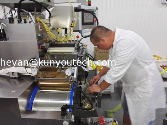 Αυτόματη μηχανή πλήρωσης καψών για το έλαιο τρόφιμο-ψαριών, τη βιταμίνη, και το μέλι μελισσών