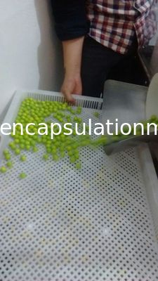 Ηλεκτρική Paintball κατασκευαστών μηχανών μεγάλη κλίμακα ενθυλάκωσης Softgel υψηλή αποδοτική