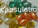 Μηχανή δοκιμής σκληρότητας Softgel για τη μαλακή κάψα και την παραγωγή ενθυλάκωσης Paintball