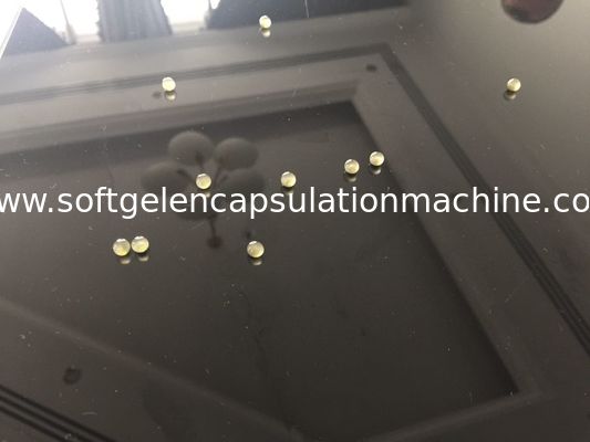 Μίνι μηχανή Softgel σφαιρών άνευ ραφής, μαλακή μηχανή καψών ζελατίνης με το υλικό πλήρωσης πετρελαίου