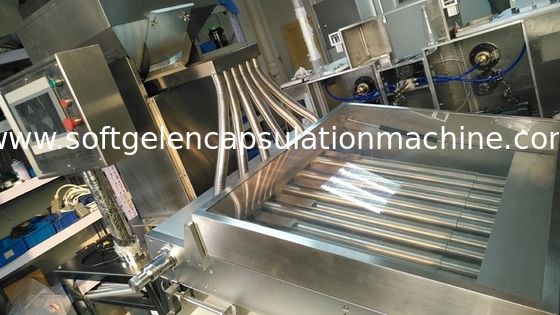 Υψηλή ταξινομώντας μηχανή ταμπλετών ακρίβειας 00# για τις σκληρές και μαλακές κάψες ζελατίνης