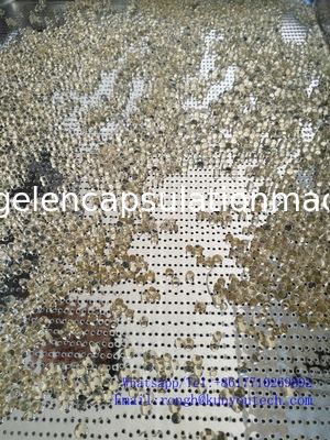 380V / 220V μαλακή μηχανή ενθυλάκωσης ζελατίνης άνευ ραφής με την εξουσιοδότηση 1 έτους