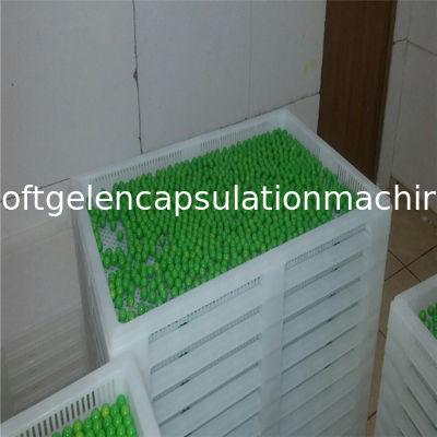 Softgel υψηλής θερμοκρασίας προσαρμοσμένο ρουλεμάν χρώμα δίσκων ξήρανσης καψών πλαστικό