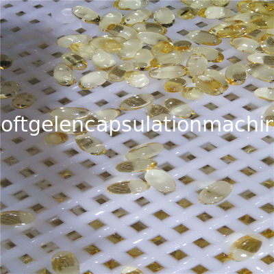 Μη ζωική μηχανή ενθυλάκωσης Softgel αυτόματη Vgel για 50000 - 70000 κάψες/Χ