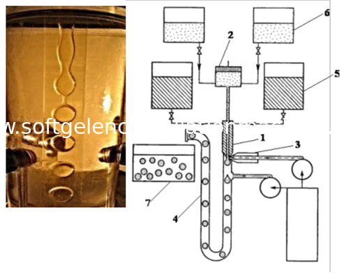 3mm μίνι μηχανή Softgel σφαιρών άνευ ραφής, μηχανή ενθυλάκωσης ζελατίνης με την κοπή Plusant