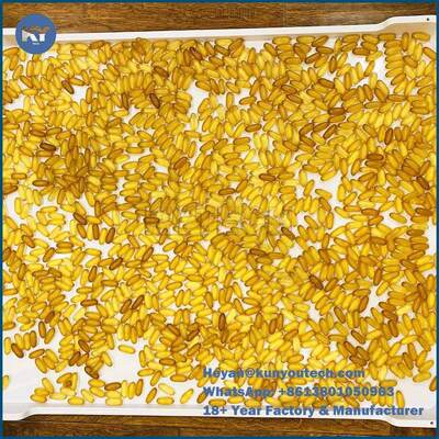 Υλικό PP/ABS πλαστικό δίσκο στεγνώσεως 758x608x40mm για στεγνώσεις κάψουλων