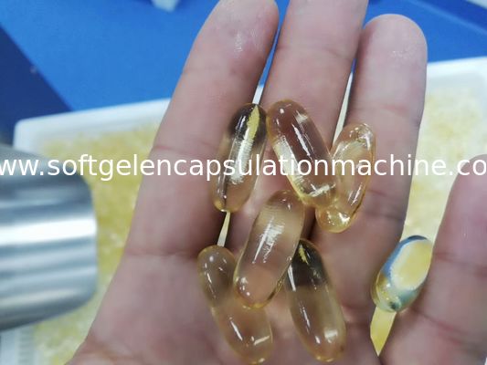 Μαλακή μηχανή ενθυλάκωσης ζελατίνης πετρελαίου Canabis για τις φαρμακευτικές επιχειρήσεις