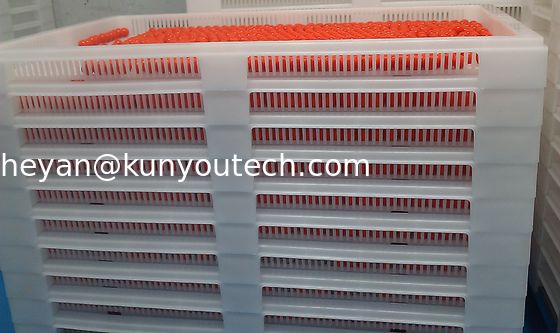 Άσπροι Stackable πλαστικοί δίσκοι βαθμού τροφίμων/δροσίζοντας δίσκος 762*495*55mm