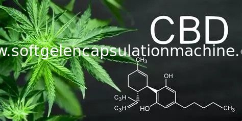 Μηχανή ενθυλάκωσης καψών Softgel πετρελαίου CBD με το FDA αισθητήρων κατώτατης Ε&ΤΑ εγκεκριμένο