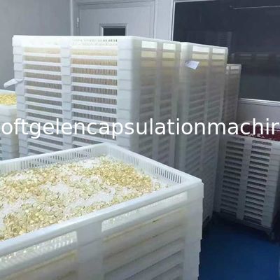Φαρμακευτική μηχανή ενθυλάκωσης Softgel καψών για το πετρέλαιο Softgel 120000 PC/Χ ψαριών