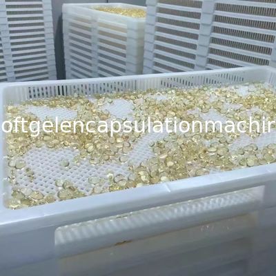 S403 ρόλων αυτόματη γραμμή παραγωγής μηχανών Paintball καψών τύπων μαλακή ρόλος κύβων 4 ίντσας