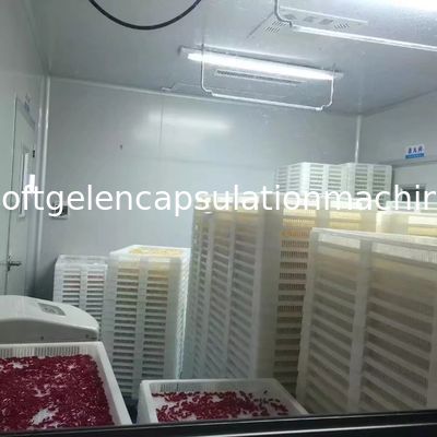 Μικρή γραμμή παραγωγής μηχανών ενθυλάκωσης Softgel για την κατασκευή της μαλακής κάψας S403