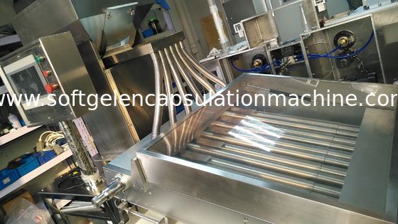 φαρμακευτική μηχανή καψών Softgel 10 ίντσας για το πετρέλαιο Softgel 120000 PC/Χ ψαριών