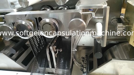 S403 μαλακή μαλακή κάψα καψών ζελατίνης που κατασκευάζει τη μηχανή ΜΕ το χάλυβα Stinless convoyer