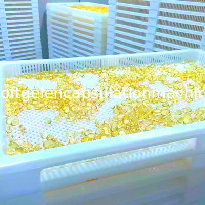 Άσπροι πλαστικοί ξεραίνοντας δίσκοι βαθμού τροφίμων για τις κάψες και Paintball Softgel