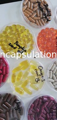 Μαλακή φόρμα 50000pcs/H καψών ενθυλάκωσης 103x152 ζελατίνης