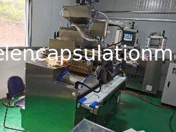 Σερβο έλεγχος PLC μηχανών 5rpm Softgel πιστοποιητικών CE