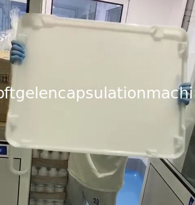 Ασφαλείς πλαστικοί ξεραίνοντας δίσκοι PPE βαθμού τροφίμων και ισχυρή ανθεκτικότητα ISO9001 καροτσακιών