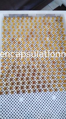 Pulsant που κόβει την άνευ ραφής μηχανή Softgel