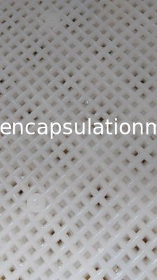Ελαφριοί Stackable πλαστικοί δίσκοι βαθμού τροφίμων/δροσίζοντας δίσκος 762*495*55mm