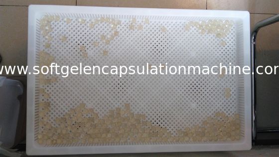 Πλαστικοί ξεραίνοντας δίσκοι για την ξήρανση Paintball