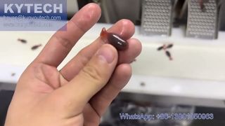 Μηχανή ενθυλάκωσης σερβο μαλακής γέλης σε σχήμα ψαριού